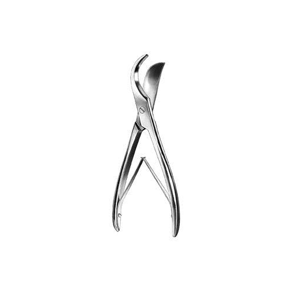 Rib Shear