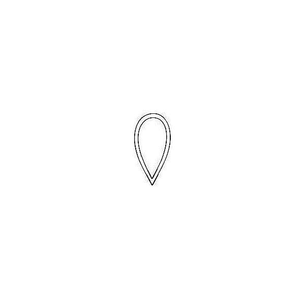 Wire Loop